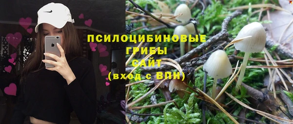 соль курить ск Козловка