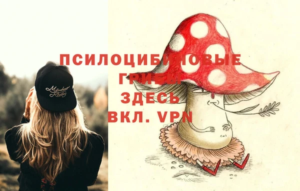 соль курить ск Козловка