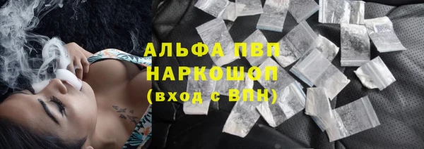 прущие грибы Костерёво